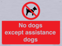 no-dogs-except-assistance-dogs~
